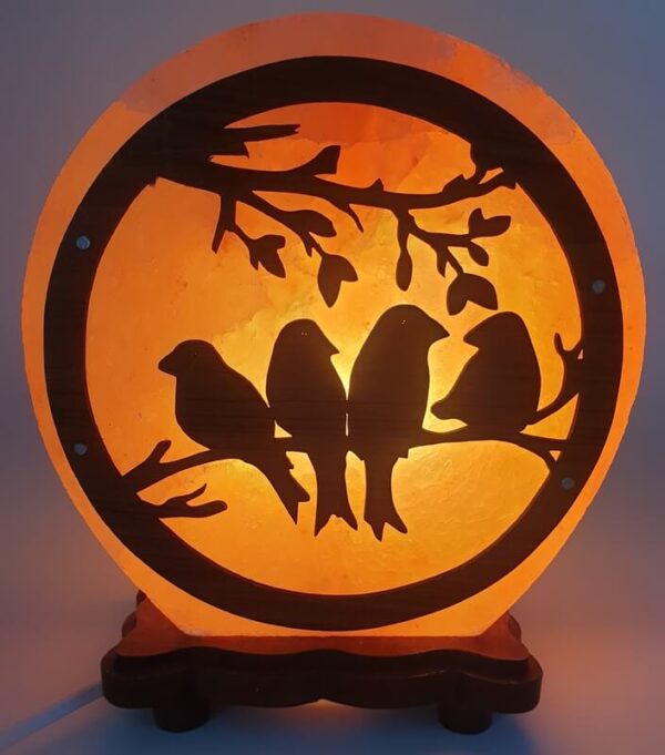 Lampe de Sel Oiseaux