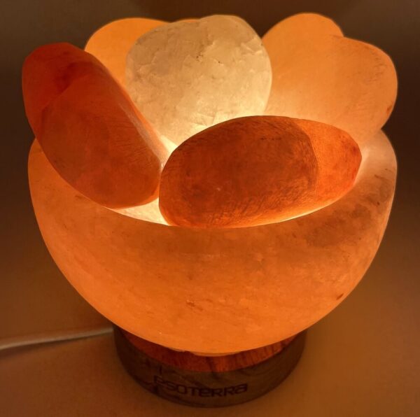 Lampe de Sel Himalaya Bol & Cœurs