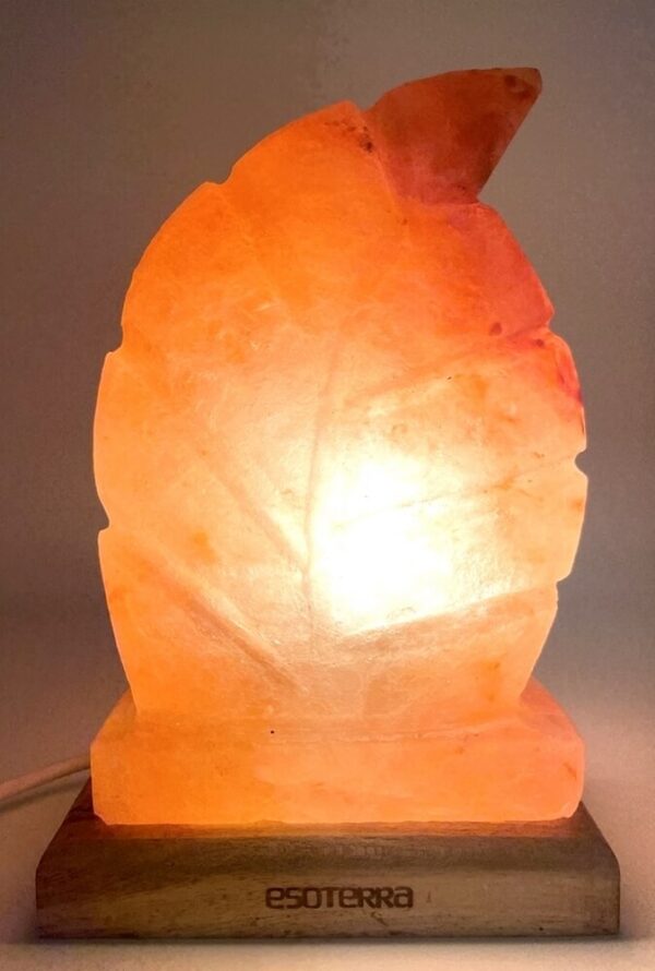 Lampe de Sel Himalaya Feuille