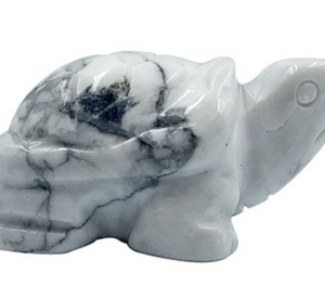Tortue Howlite