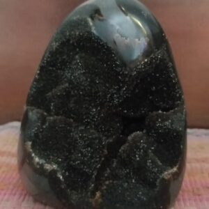 Septaria Sauvage Forme Libre AA